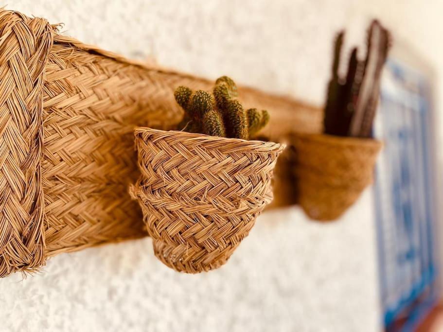 Casa Mirador - San Joseヴィラ エクステリア 写真