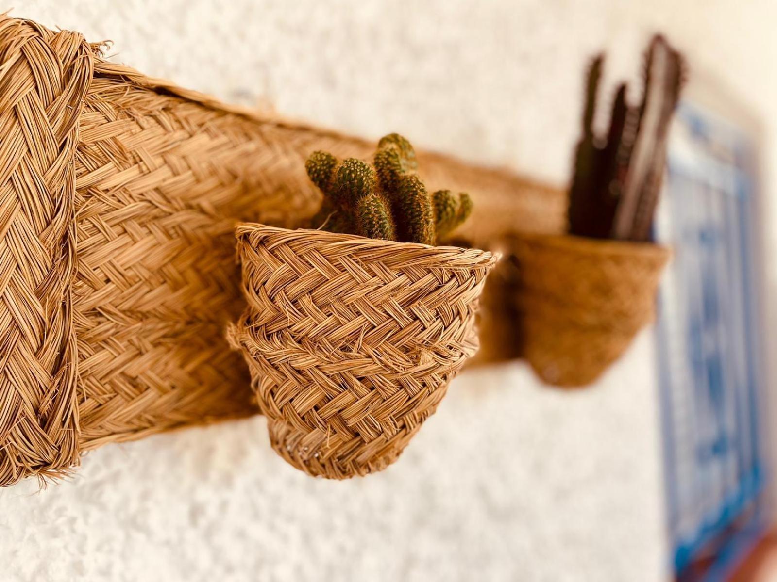 Casa Mirador - San Joseヴィラ エクステリア 写真